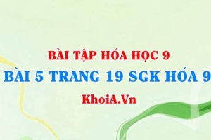 Bài 5 trang 19 SGK Hoá 9: Tính chất Hoá học của Axit Clohidric HCl và Axit Sunfuric H2SO4